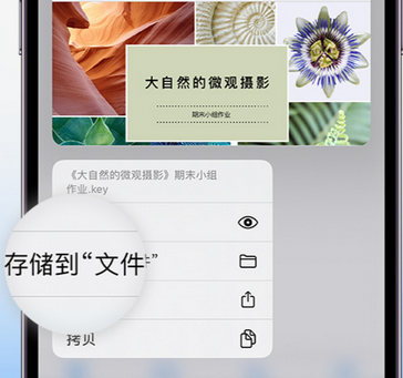 石岐区街道apple维修中心分享iPhone文件应用中存储和找到下载文件