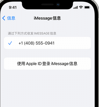 石岐区街道apple维修iPhone上无法正常发送iMessage信息 