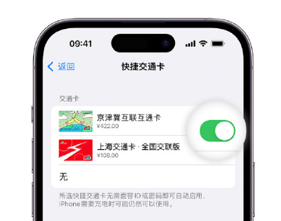 石岐区街道apple维修点分享iPhone上更换Apple Pay快捷交通卡手绘卡面 