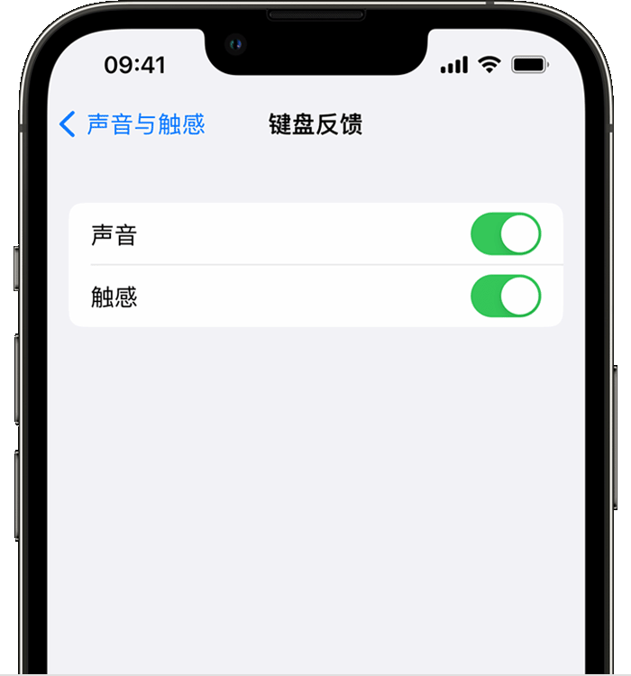 石岐区街道苹果14维修店分享如何在 iPhone 14 机型中使用触感键盘 